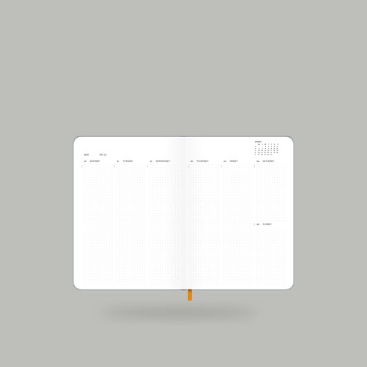 Weekly Diary 2020 Shiny Silver S 10