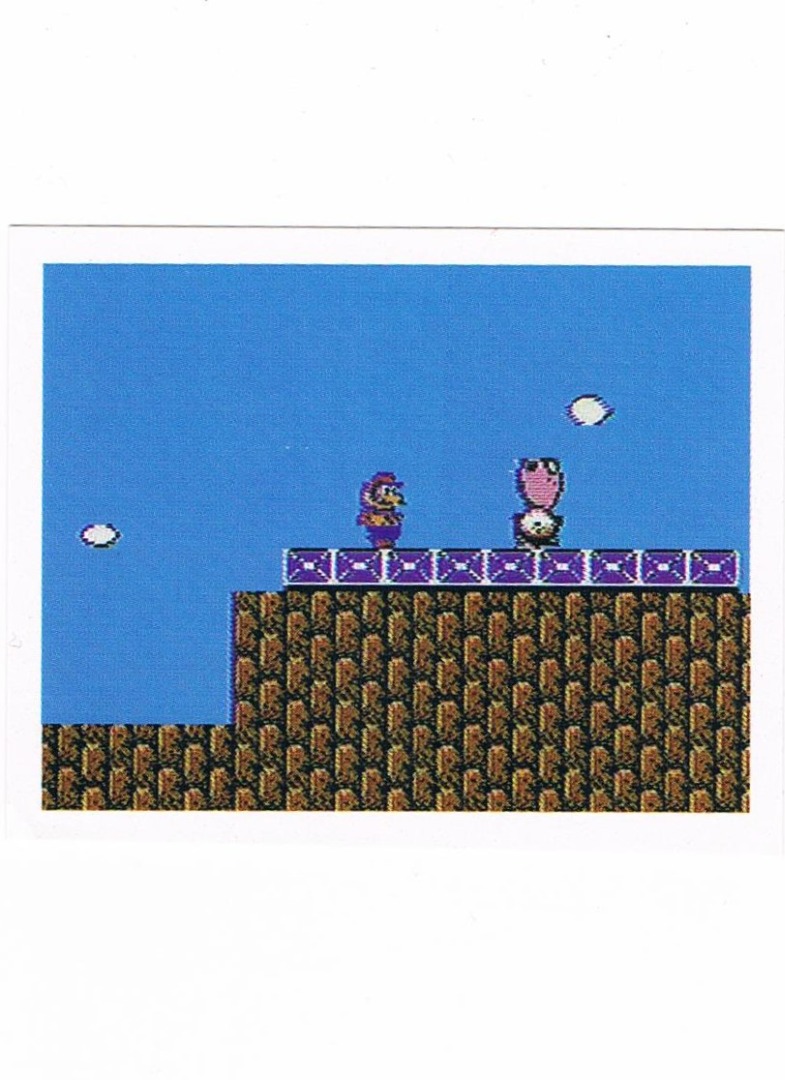 Sticker No. 91 - Super Mario Bros. 2/NES