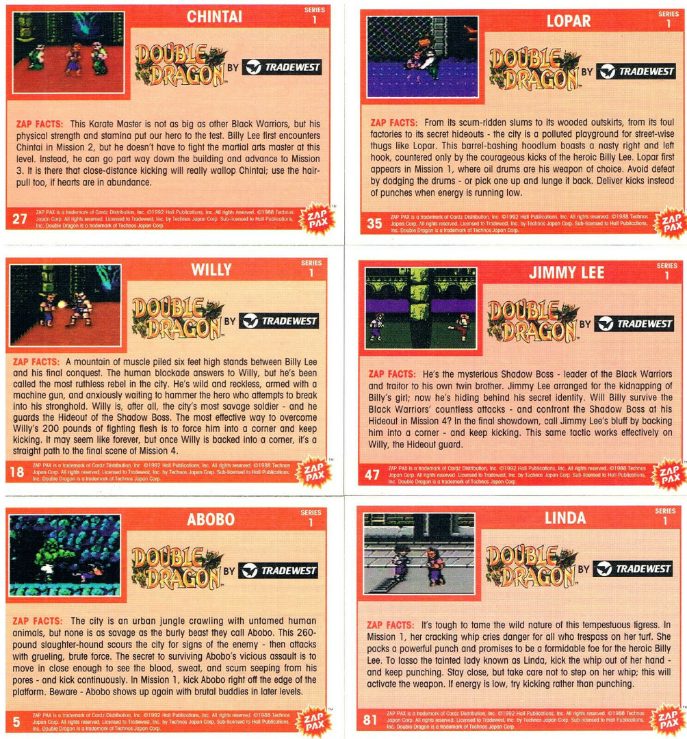 Nintendo NES - Double Dragon 2