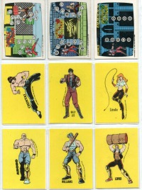 Double Dragon - 18 Trading Cards &amp; Sticker 2