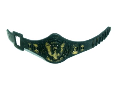 black Belt - Wrestling Champions - accessory