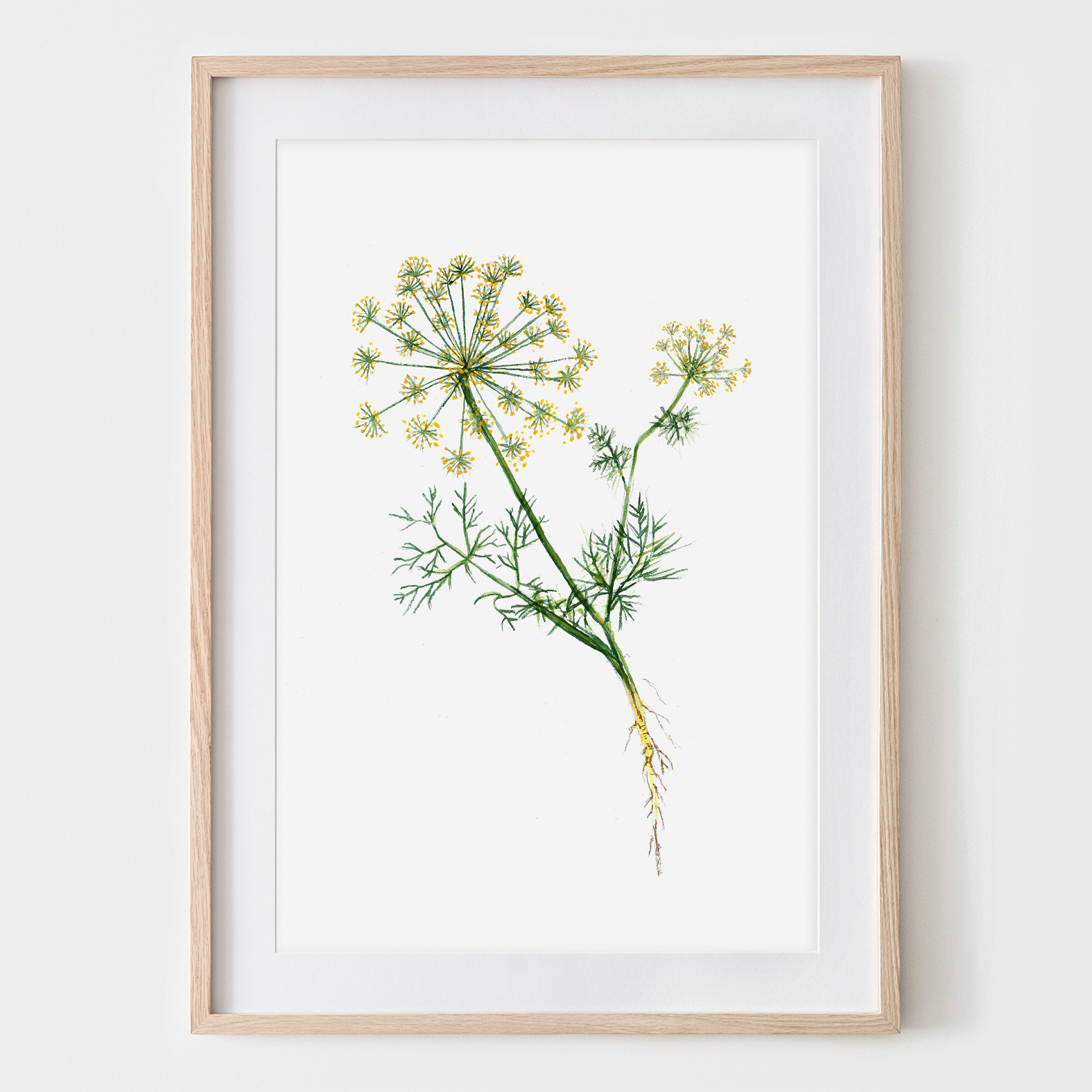 Dill, Fine Art Print, Giclée Print, Poster, Kunstdruck, Zeichnung