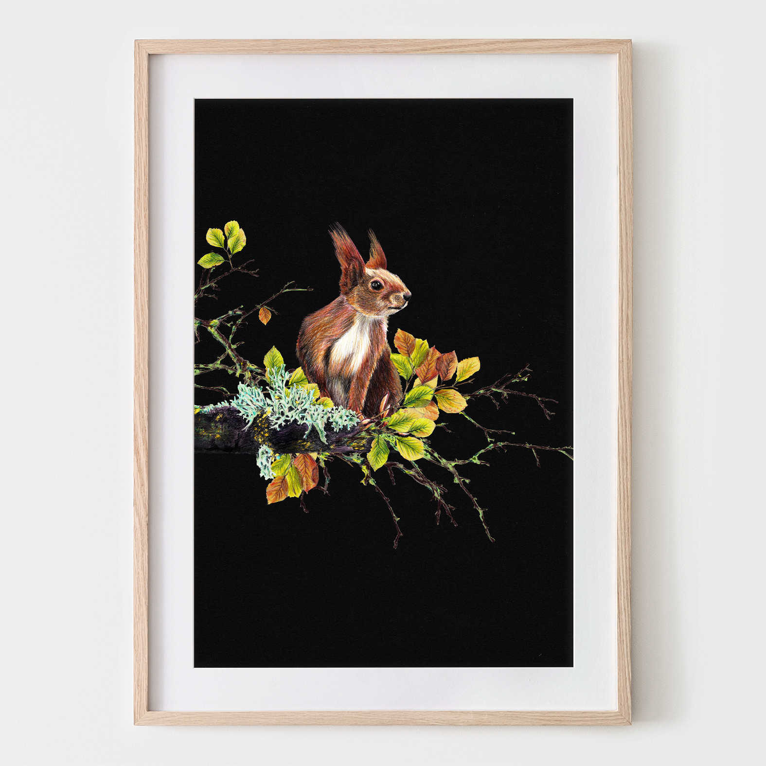 Eichhörnchen auf dem Ast, Fine Art Print, Giclée Print, Poster, Kunstdruck, Zeichnung