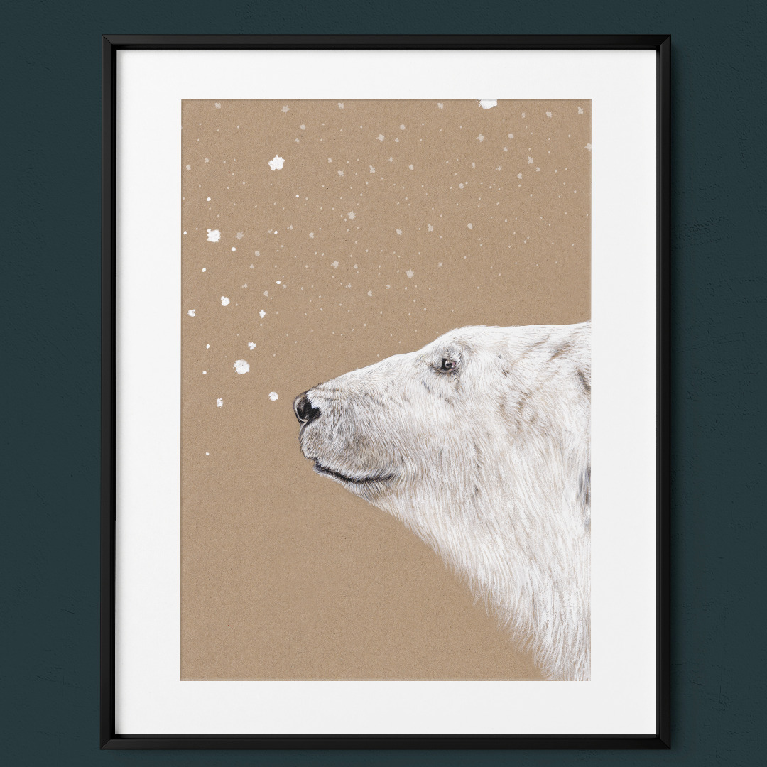 Polarbär, Eisbär, Fine Art Print, Giclée Print, Poster, Kunstdruck, Zeichnung 4
