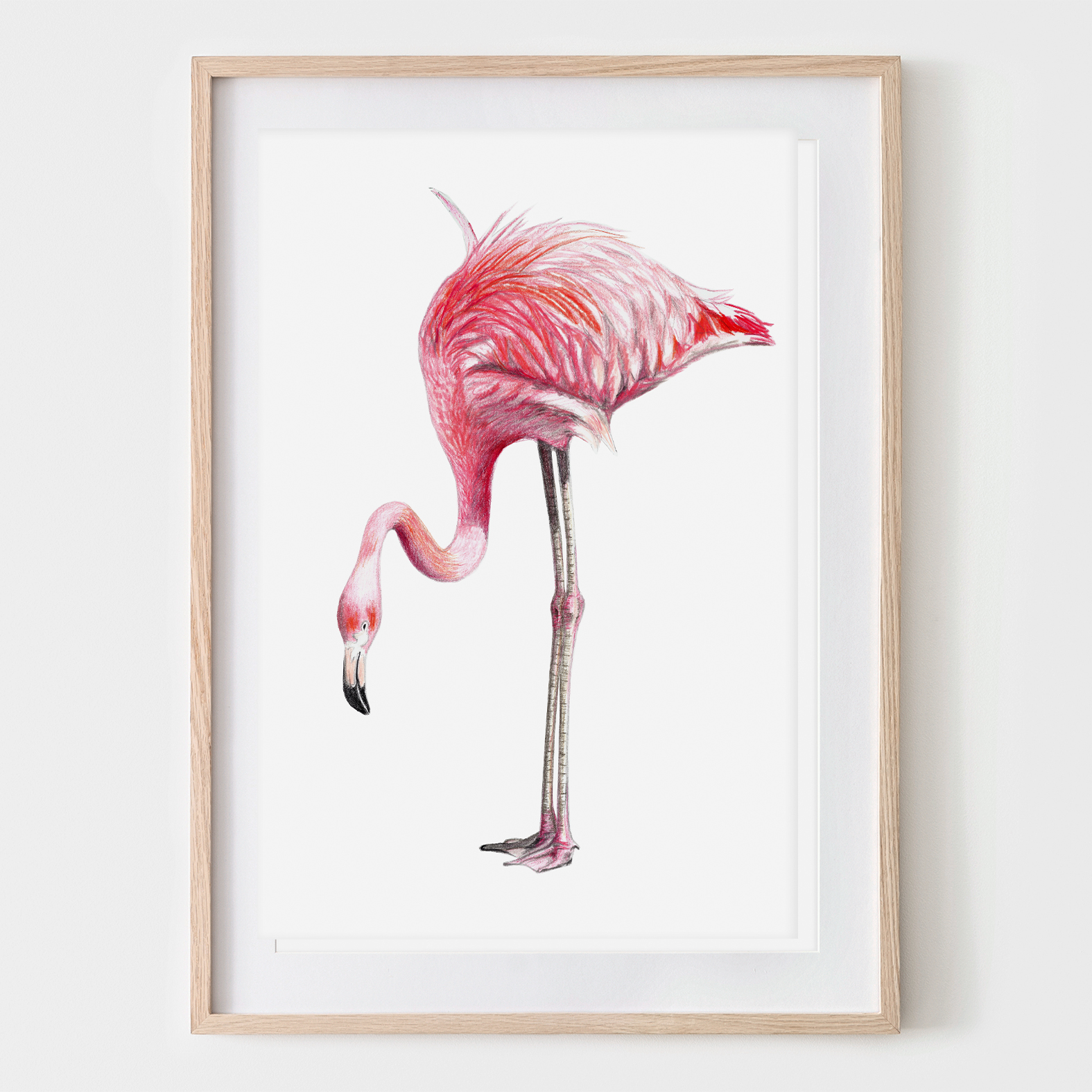 Flamingo, Fine Art Print, Giclée Print, Poster, Kunstdruck, Zeichnung