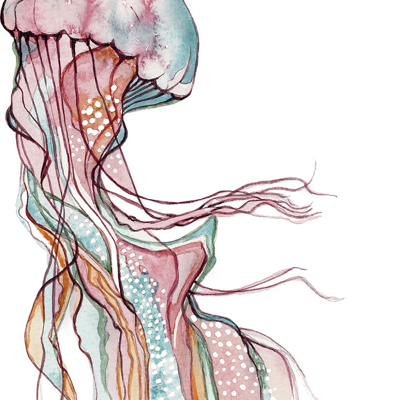 Jellyfish Qualle Poster Kunstdruck Zeichnung 2