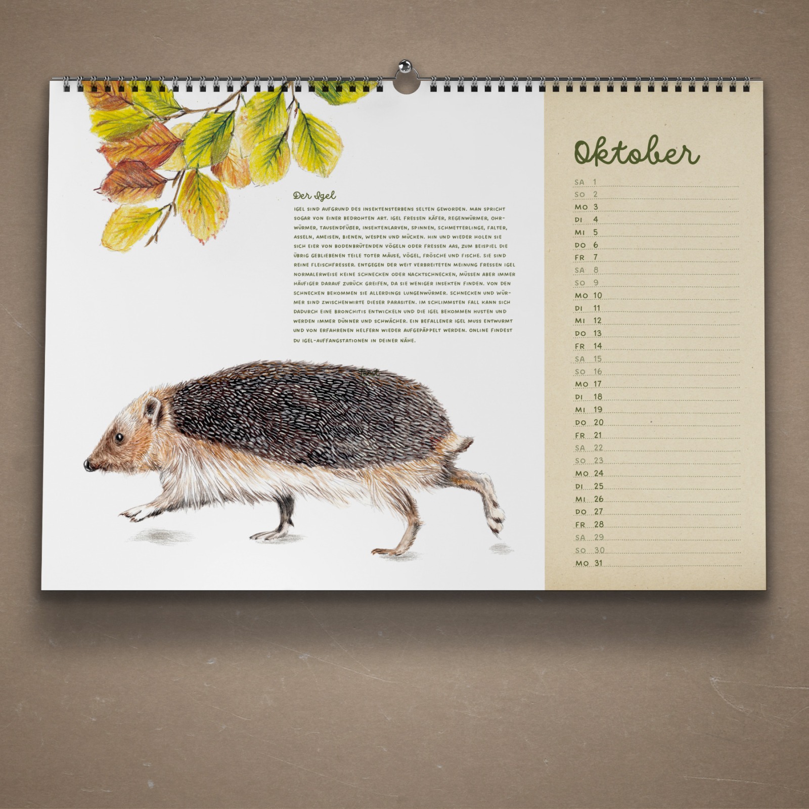 Tiere im Garten Kalender 2022 Wandkalender Tierkalender Kunstkalender 4