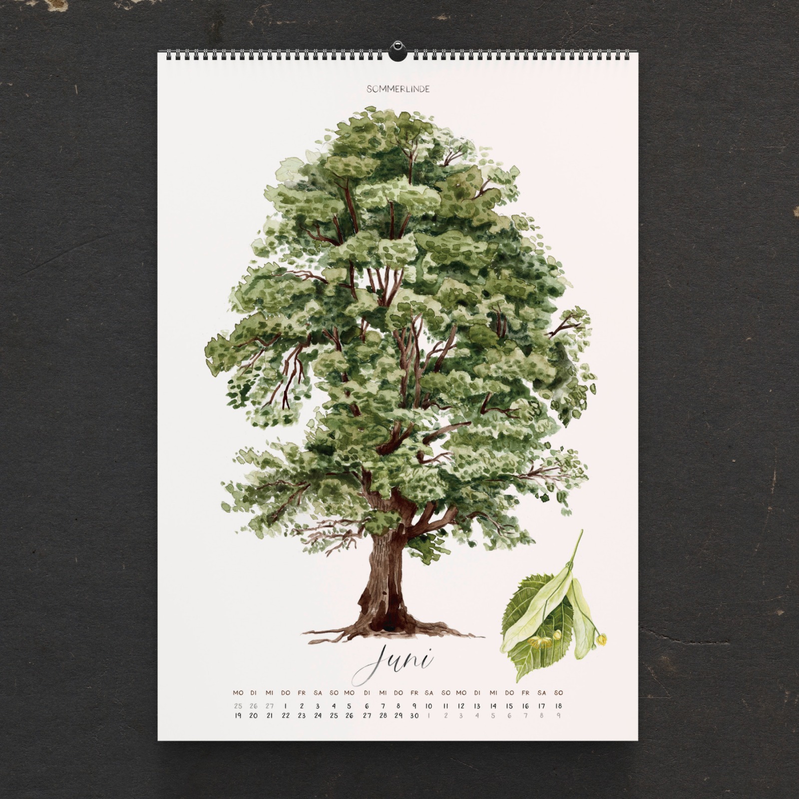 Bäume Kalender 2023 Wandkalender Illustrierter Kalender Kunstkalender 4