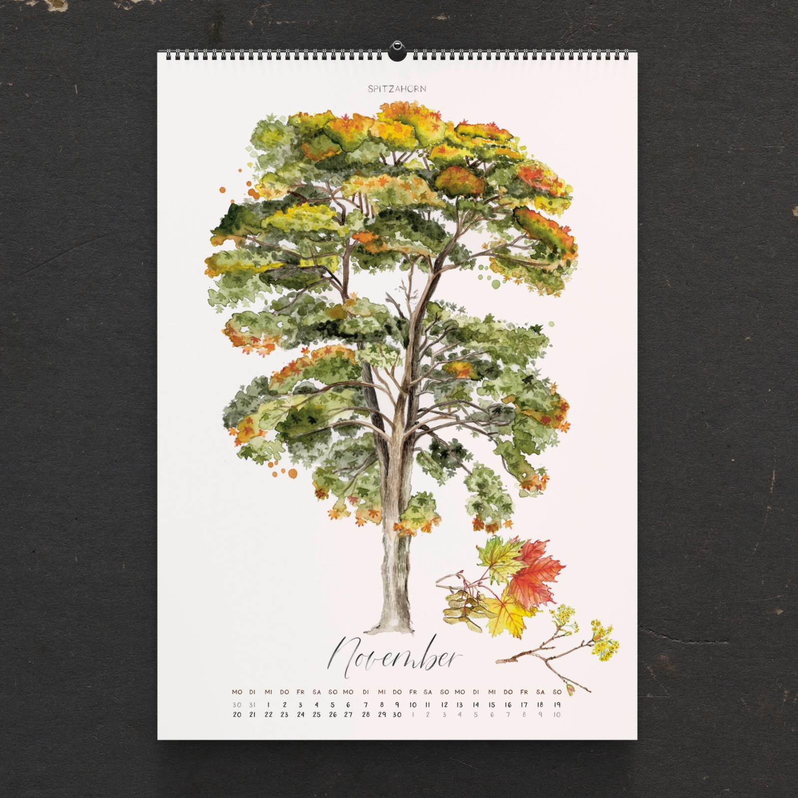 Bäume Kalender 2023 Wandkalender mit kleinen Mängeln B-Ware 6