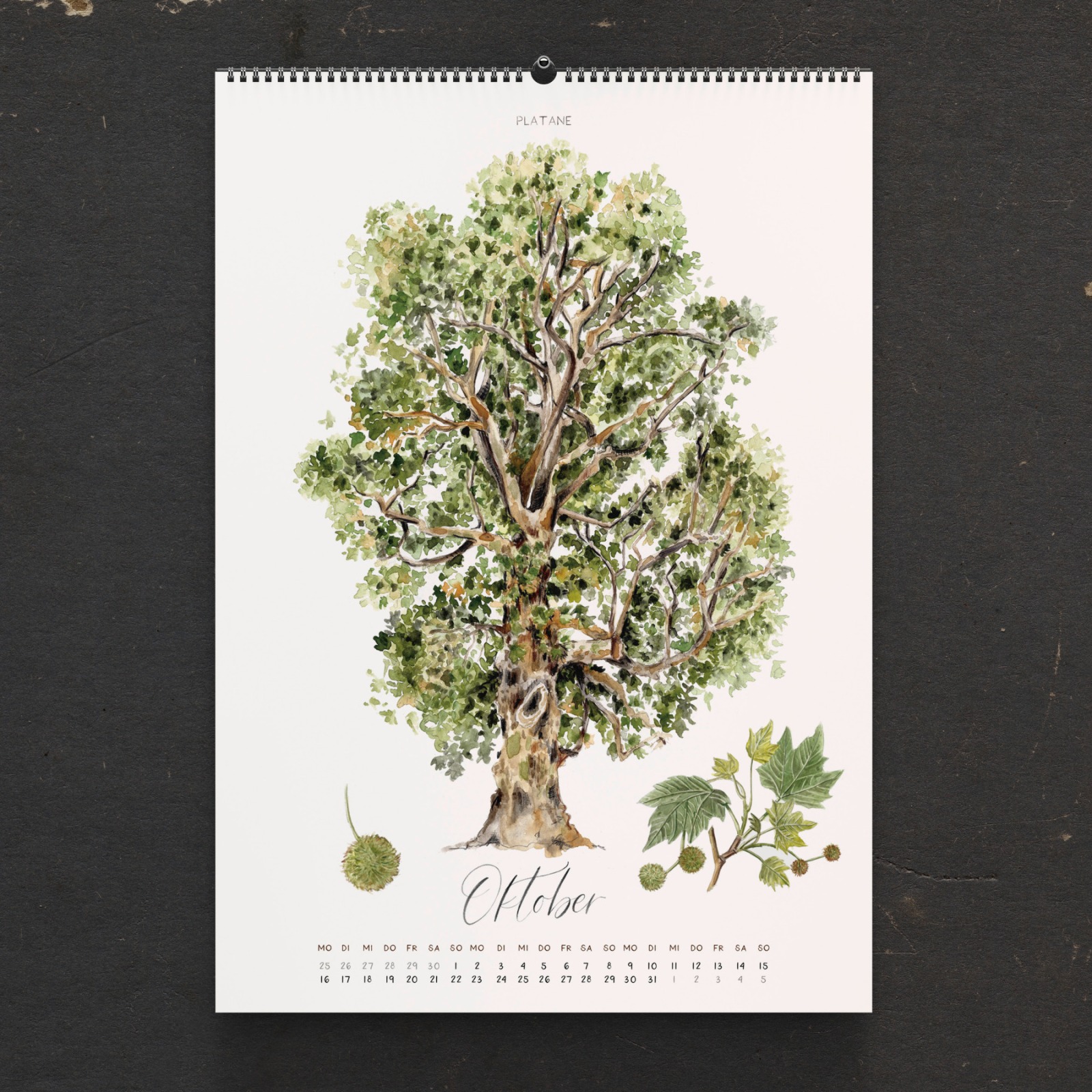 Bäume Kalender 2023 Wandkalender mit kleinen Mängeln B-Ware 5