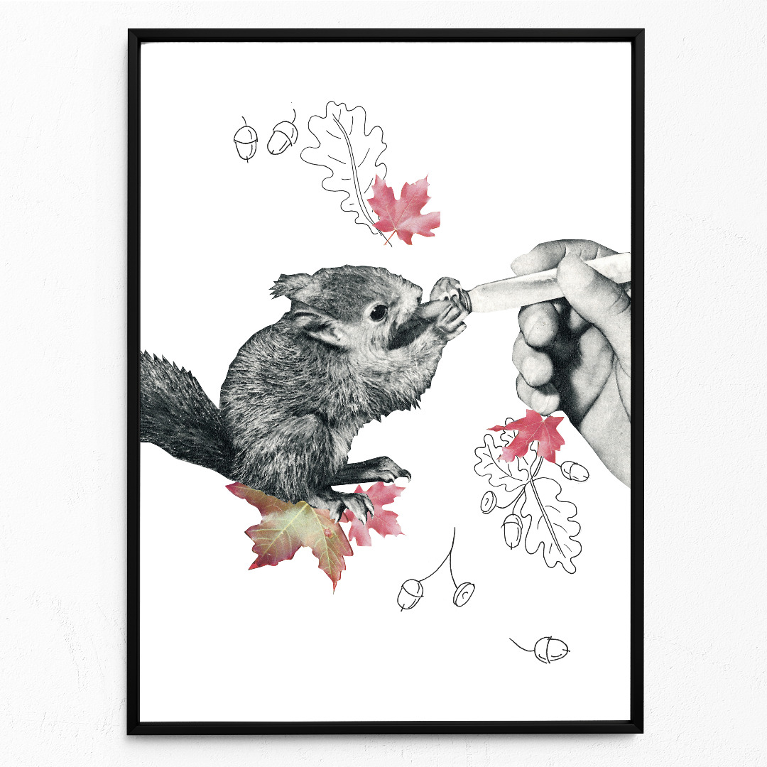 Baby-Eichörnchen Poster Kunstdruck DIN A3