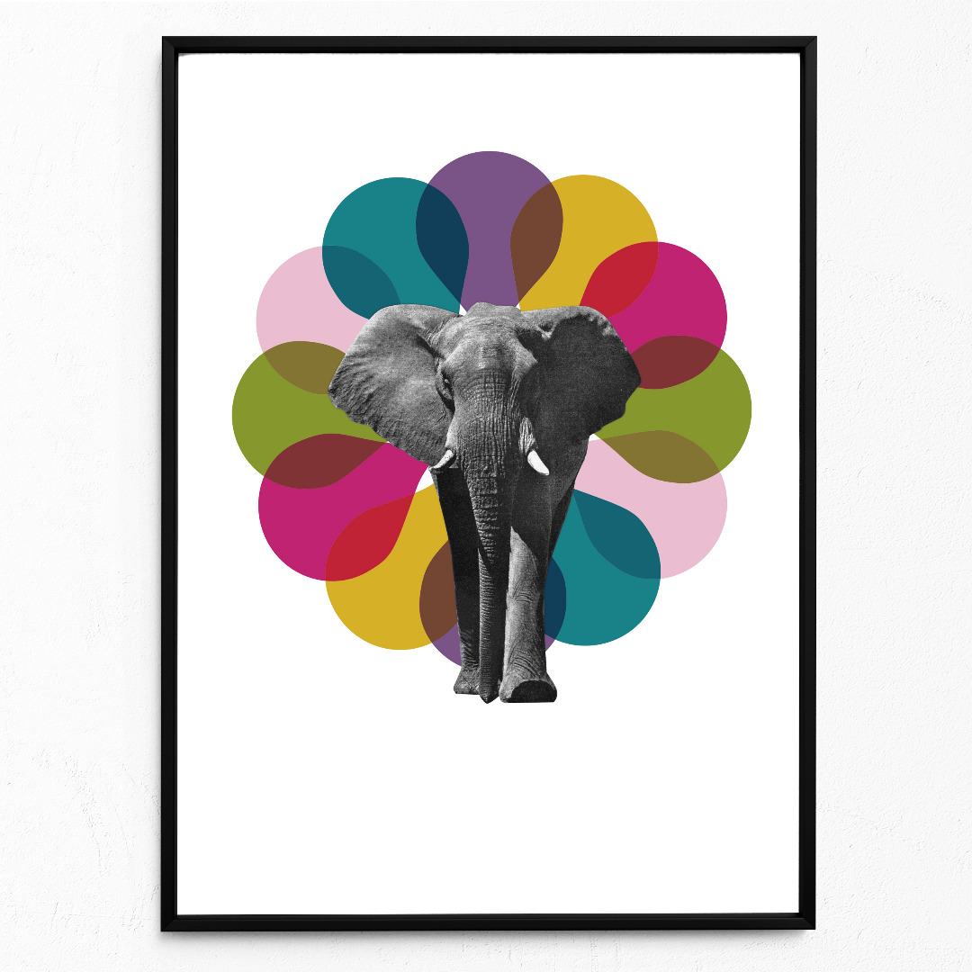Elefant Poster Kunstdruck DIN A3