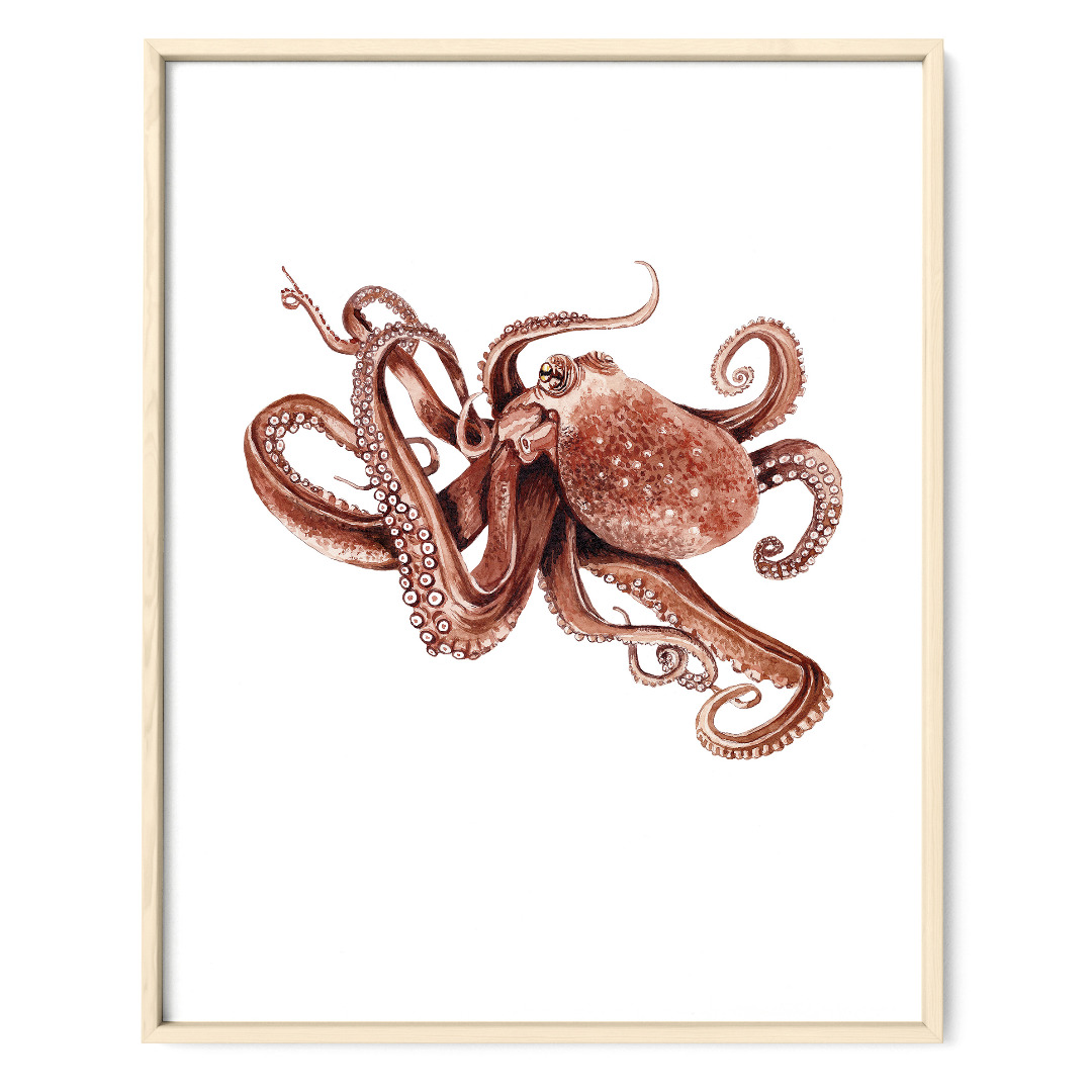 Octopus Fine Art Print Giclée Print Poster Kunstdruck Zeichnung