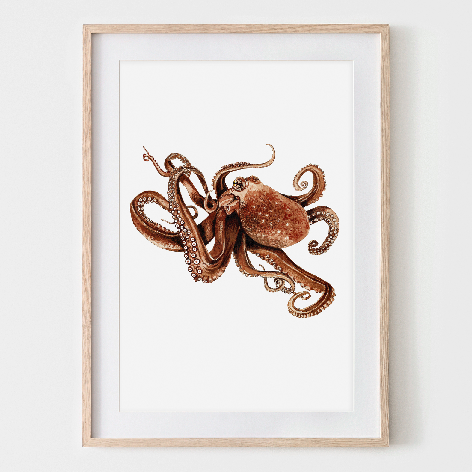 Octopus, Fine Art Print, Giclée Print, Poster, Kunstdruck, Zeichnung