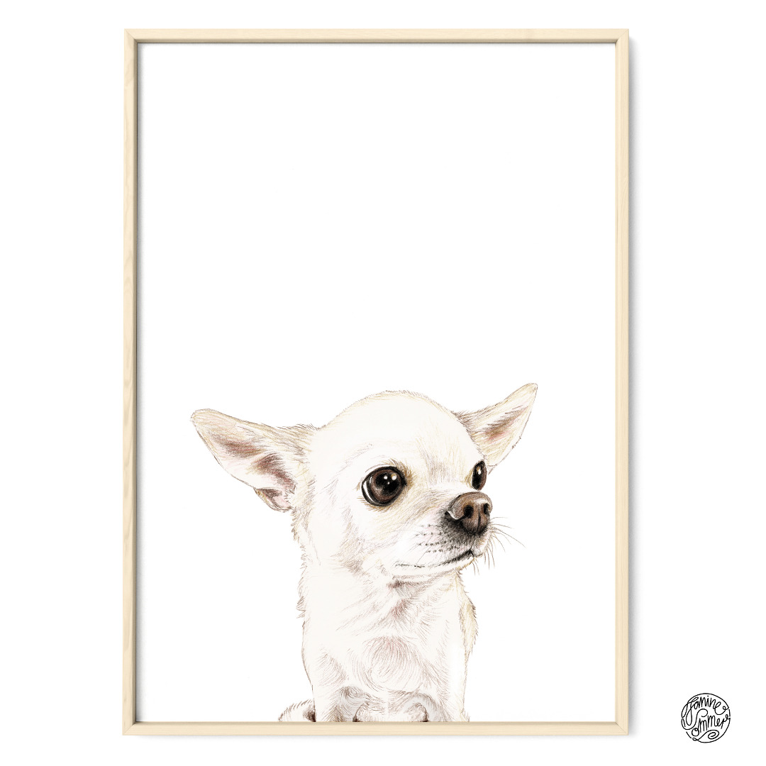 Chihuahua Pepe, Fine Art Print, Giclée Print, Poster, Kunstdruck, Zeichnung