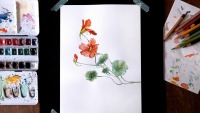 Grußkarte Kapuzinerkresse, Blumengrußkarte 3