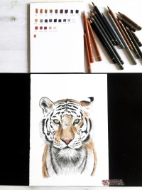 Tiger, Fine Art Print, Giclée Print, Poster, Kunstdruck, Zeichnung 2