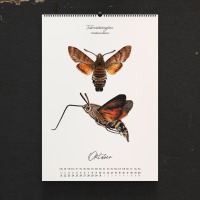 Kalender 2024, Schmetterlinge, Schmetterlingskalender, Wandkalender, Insektenkalender,