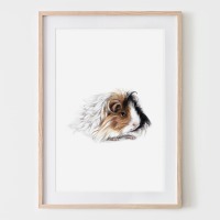 Meerschweinchen Furry Friend, Fine Art Print, Giclée Print, Poster, Kunstdruck, Zeichnung