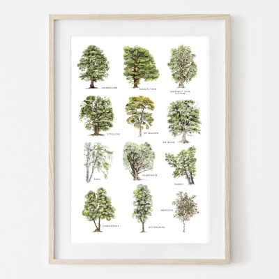 Laubbäume, Fine Art Print, Giclée Print, Poster, Kunstdruck, Pflanzen Zeichnung -