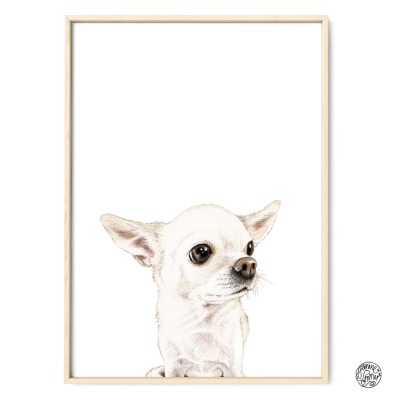 Chihuahua Pepe, Fine Art Print, Giclée Print, Poster, Kunstdruck, Zeichnung - Buntstiftzeichnung, R