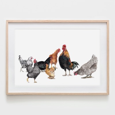 7 Hühner, Fine Art Print, Giclée Print, Poster, Kunstdruck, Zeichnung -