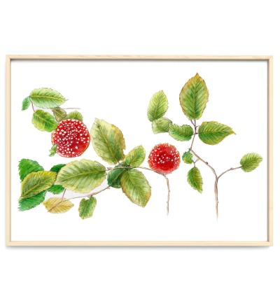 2 Fliegenpilze und Herbstlaub Poster Kunstdruck Pflanzen Zeichnung - Buntsstiftzeichnung Reproduktion