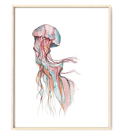 Jellyfish Qualle Poster Kunstdruck Zeichnung - Aquarell Reproduktion