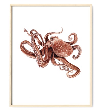 Octopus Poster Kunstdruck Zeichnung - Aquarell Reproduktion