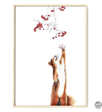 Eichhörnchen mit Beeren Poster Kunstdruck Zeichnung - Buntstiftzeichnung Reproduktion