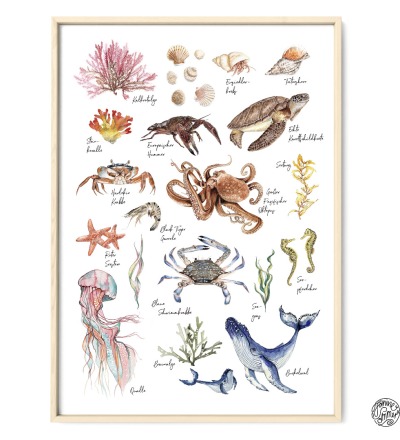 Meerestiere Poster Kunstdruck in DIN A3 - Aquarell-Buntstiftzeichnung Reproduktion