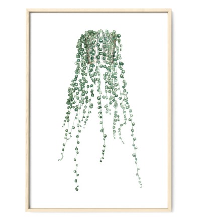 Erbsenpflanze Fine Art Print Giclée Print Poster Kunstdruck Zeichnung - Aquarell Reproduktion