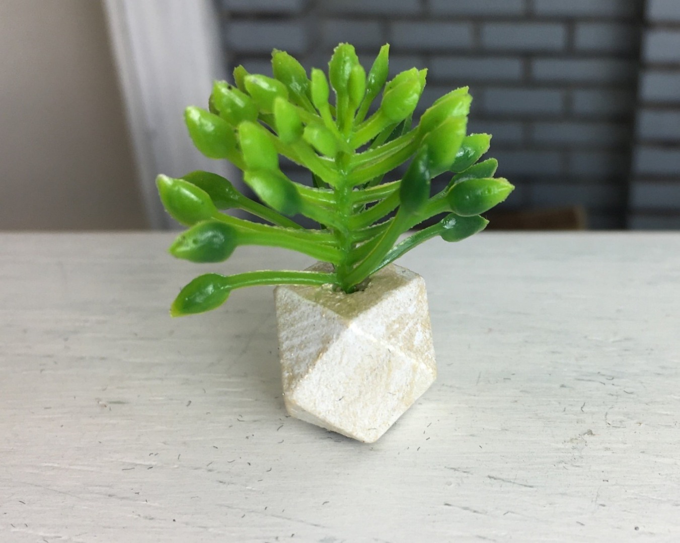 Grünpflanze in geometrischer Vase 8