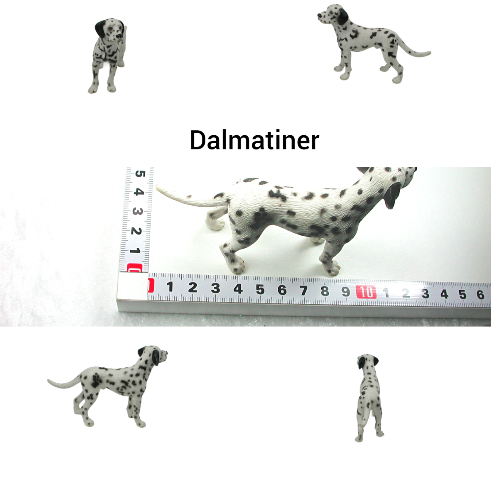 Dalmatiner 6