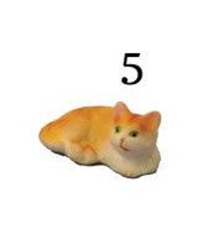 Katze 5