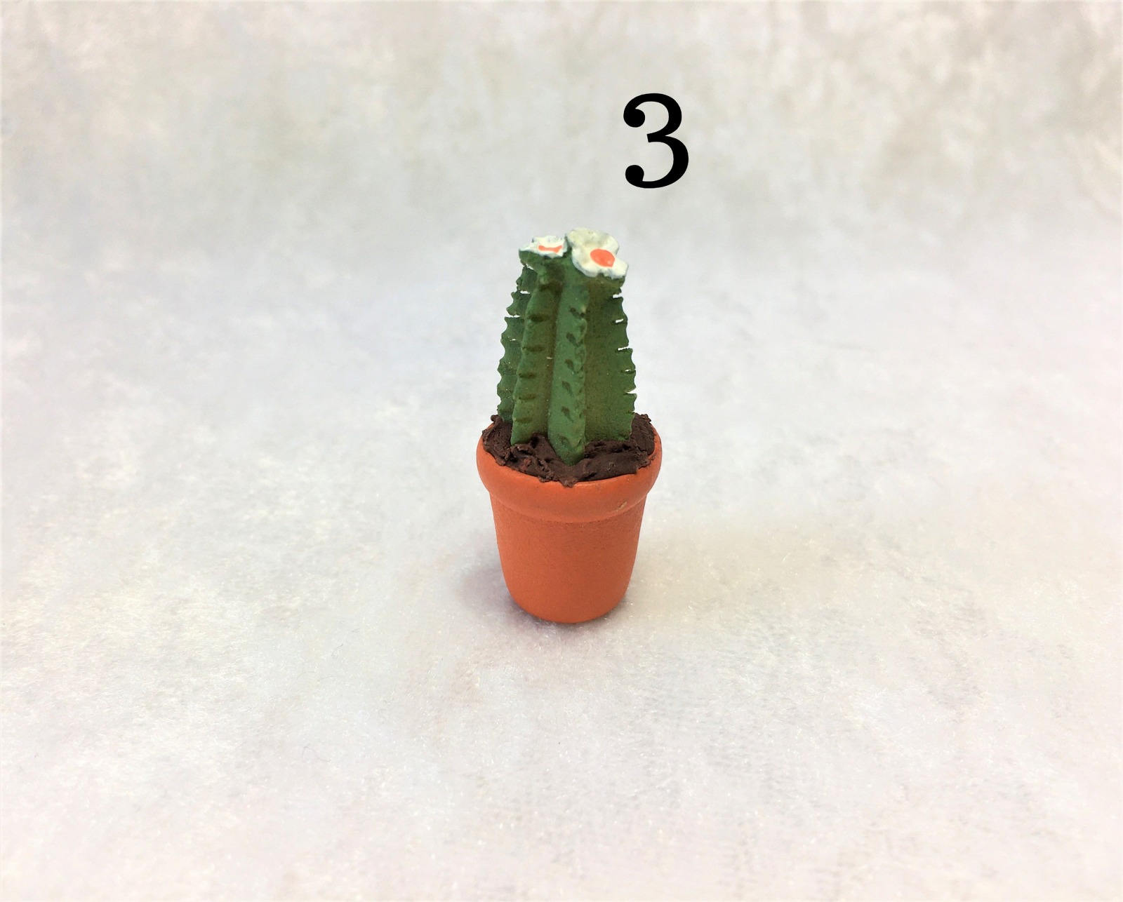Kaktus, Kakteen für die Puppenstube 4