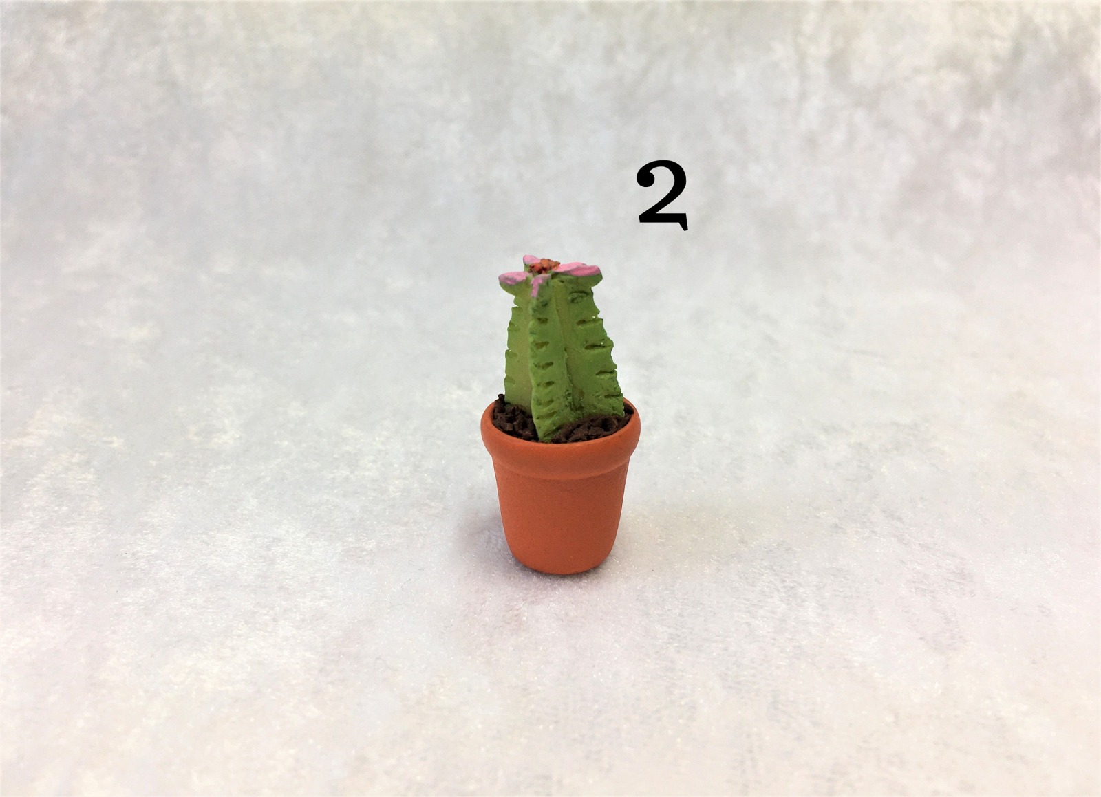 Kaktus Kakteen für die Puppenstube 3