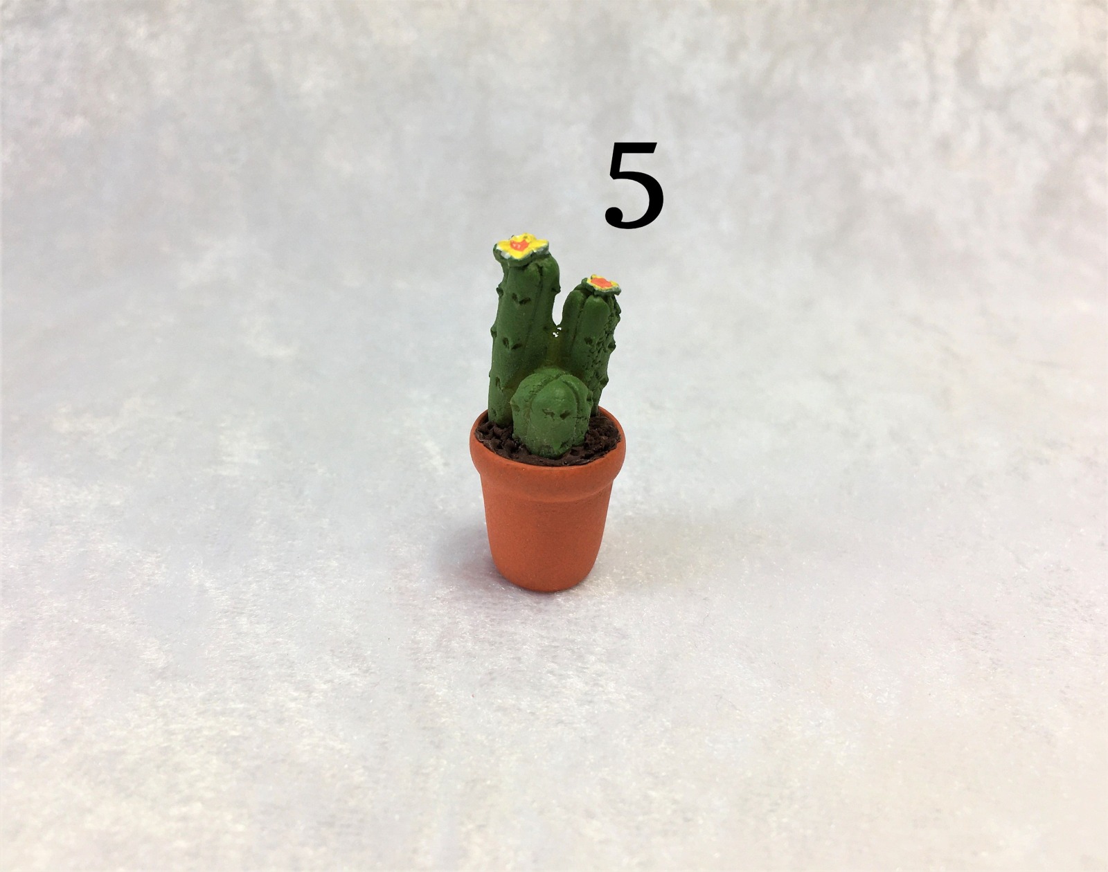 Kaktus Kakteen für die Puppenstube 6