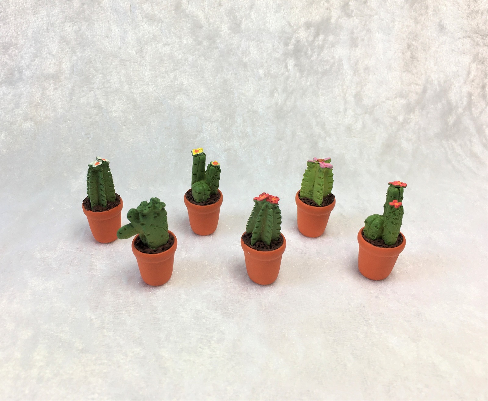 Kaktus Kakteen für die Puppenstube