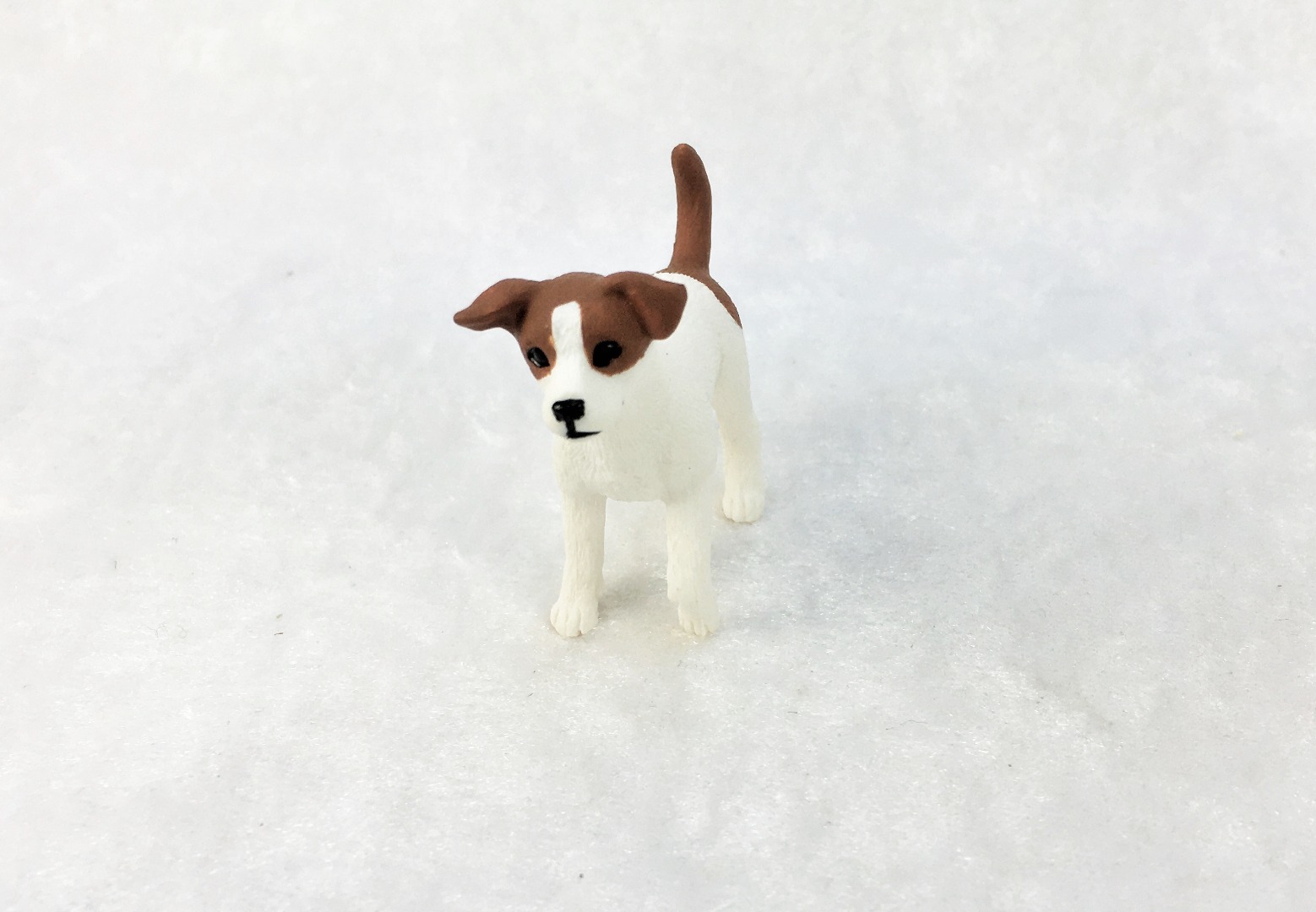 Jack Russel Terrier in Miniatur 1:12 4