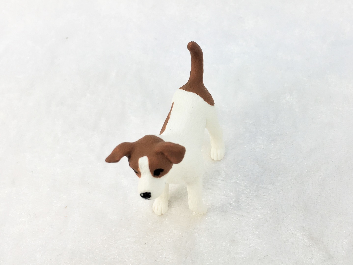 Jack Russel Terrier in Miniatur 1:12 5