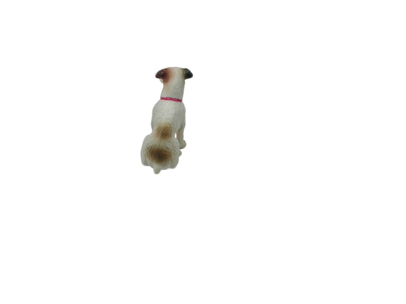 Parson Russel Terrier in Miniature 2