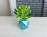 Grünpflanze in geometrischer Vase 5