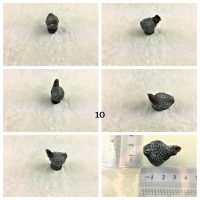 Huhn in Miniatur 6