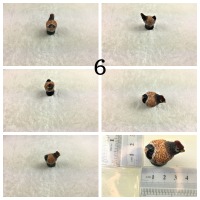 Huhn in Miniatur 2