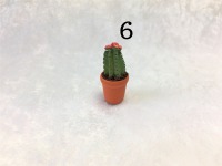 Kaktus, Kakteen für die Puppenstube 7