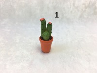 Kaktus, Kakteen für die Puppenstube 2