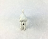 Weißer Königspudel in Miniatur 1:12
