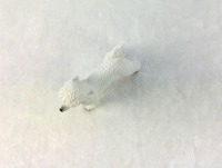 Weißer Königspudel in Miniatur 1:12 4