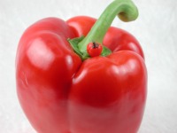 Paprika rot, Gemüse für die Puppenstube